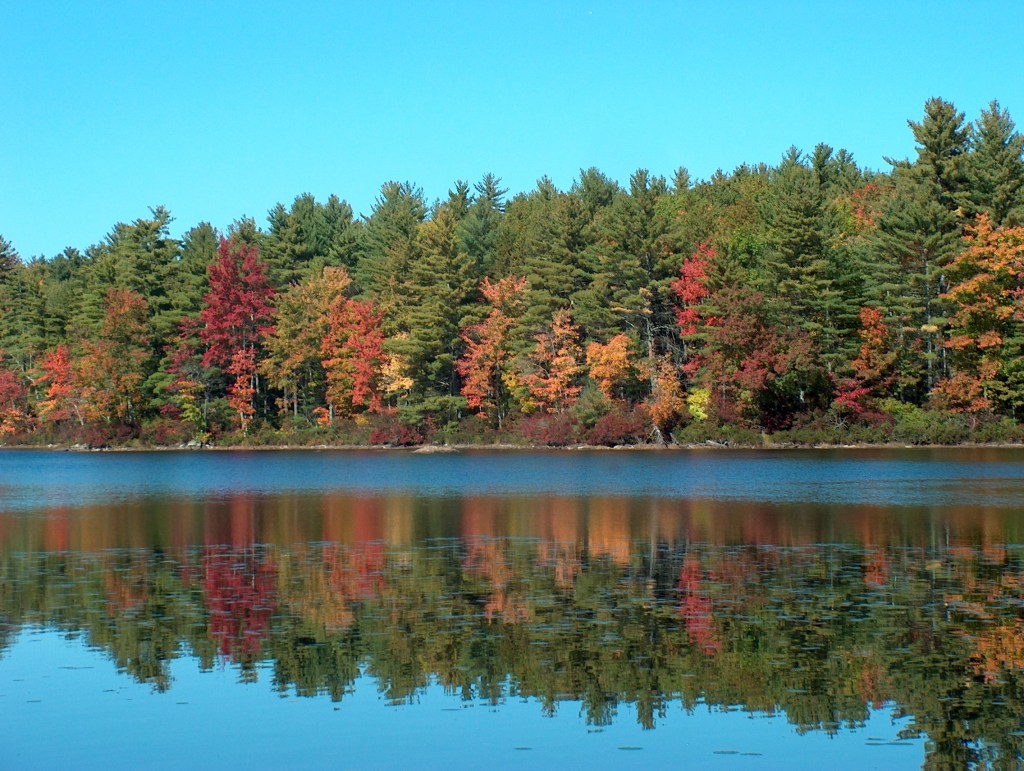 Central Maine Power at Deering&nbsp;Pond