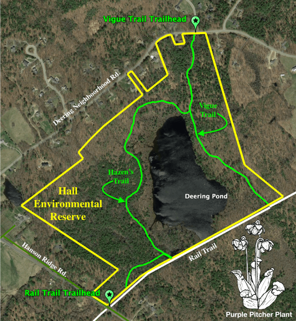 Hall Environmental Reserve