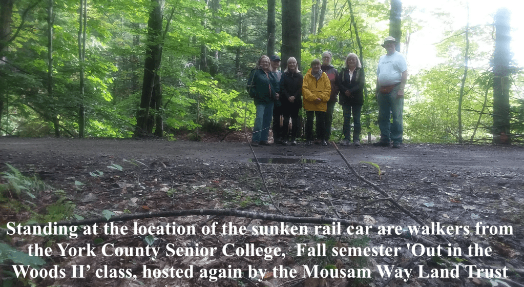 Springvale rail car mystery solved