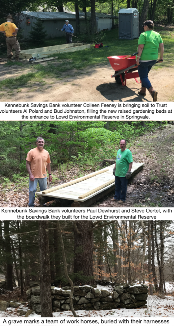 Kennebunk Savings Bank Volunteers Help Build Safe Trails at Lowd&nbsp;Reserve