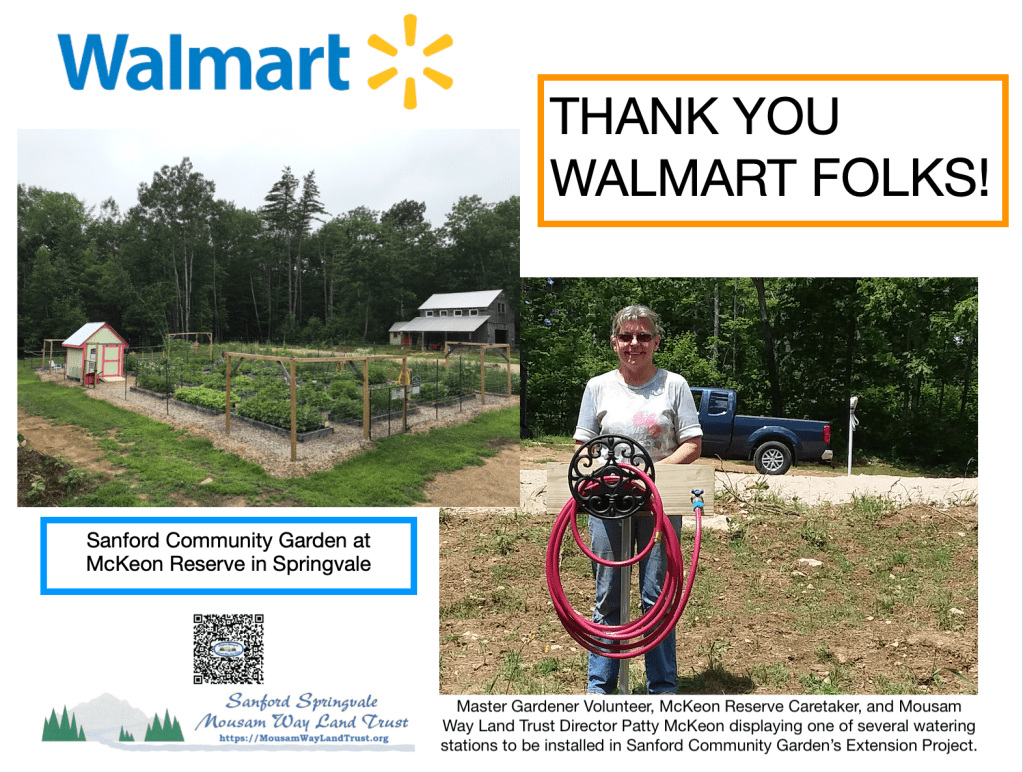 Walmart cybergrant awarded to&nbsp;trust