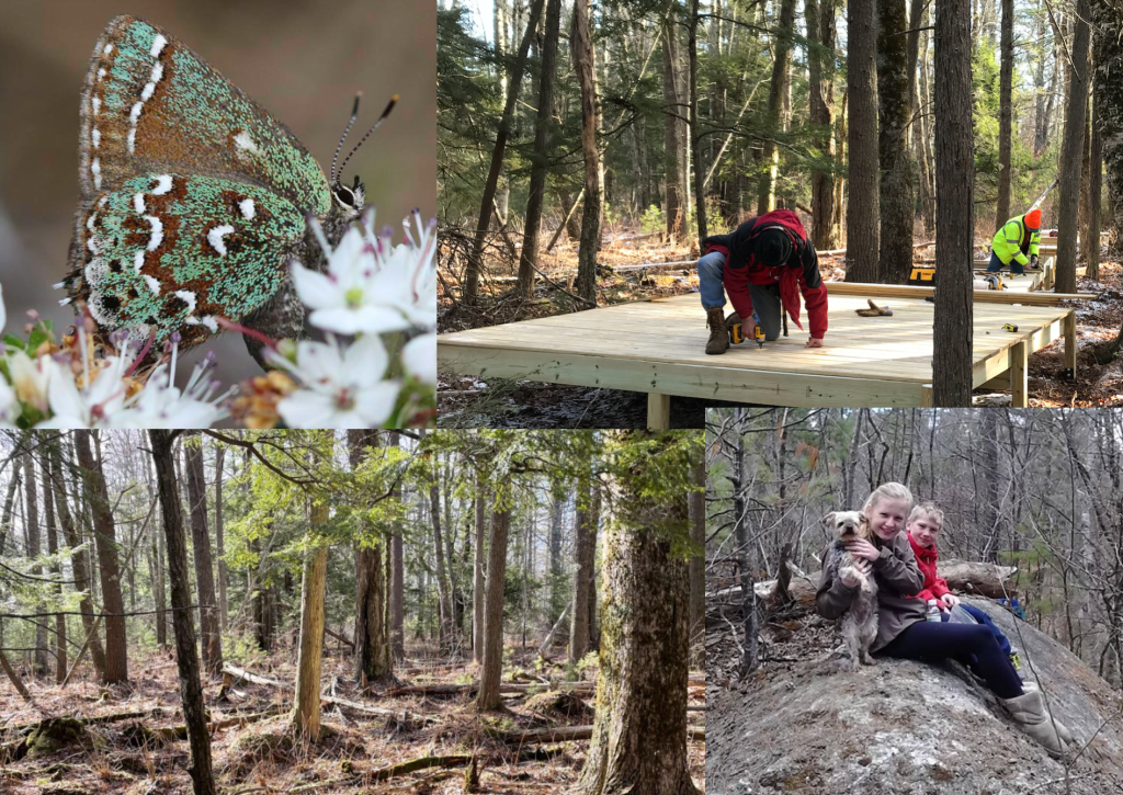 Internship Application