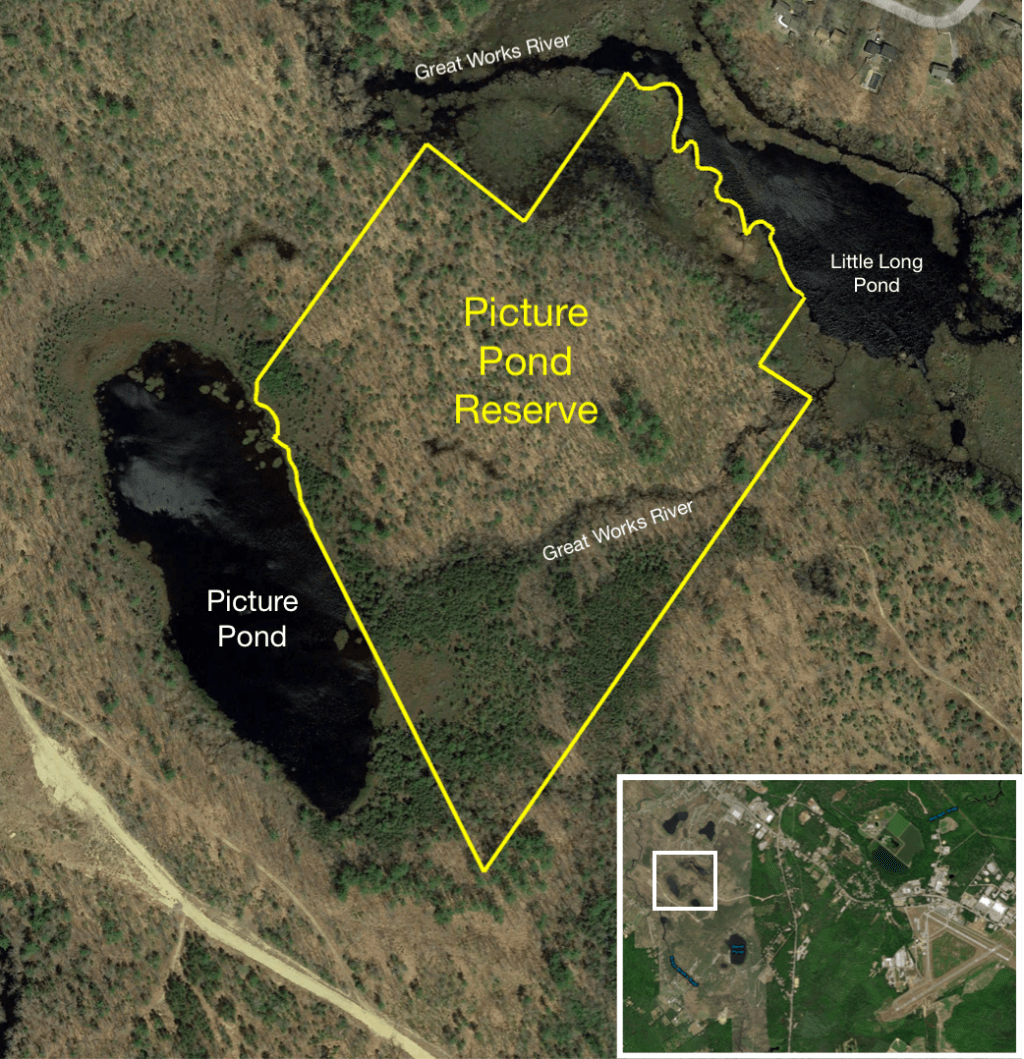 Picture Pond Reserve