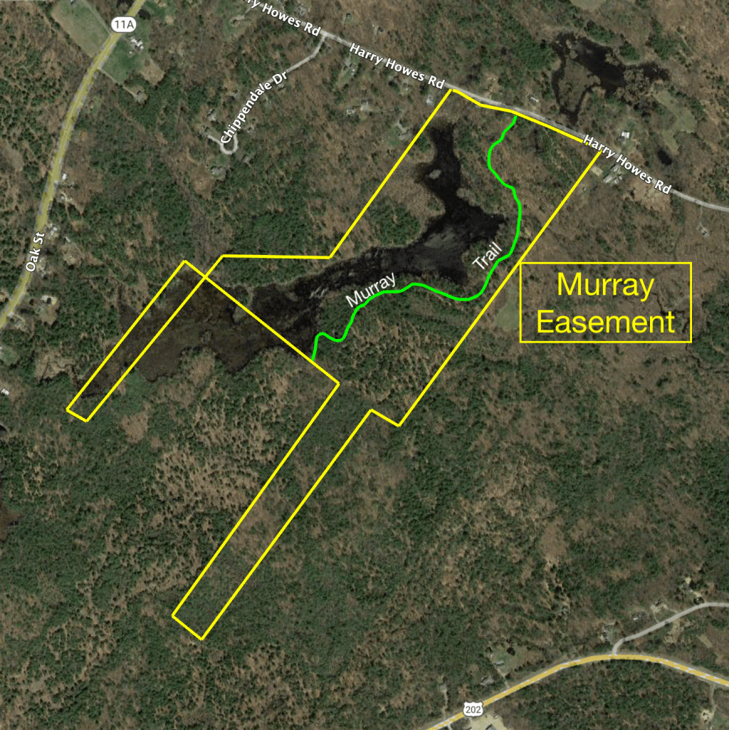 Murray Easement